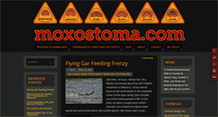 Desktop Screenshot of moxostoma.com